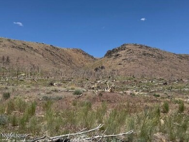 thumbnail_IMG_2936 (1)