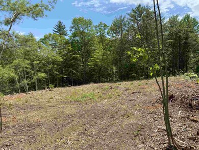 29 High Meadow Rd, Moultonborough, NH 03254 - photo 4