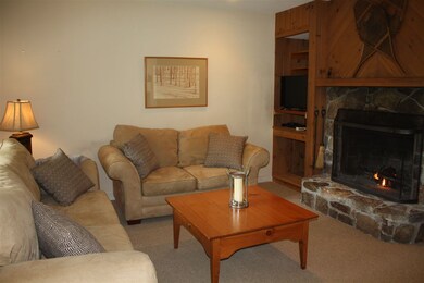 75 E Birch Rd unit 35, Stratton, VT 05360 - photo 2
