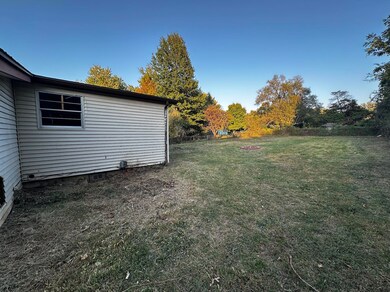 back yard 528 S Burton Ave Springfield,