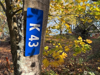 43 Beach Way, Hat Island, WA 98206 - photo 3