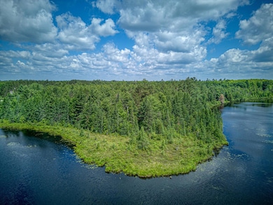 Off U S 45 unit 2, Three Lakes, WI 54562 - photo 2