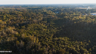 0 Gray Rd, Chocowinity, NC 27817 - photo 3