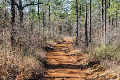 View of landscape featuring a wooded view