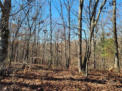 8 Acres Devils Den Rd, Winslow, AR 72959 - photo 3