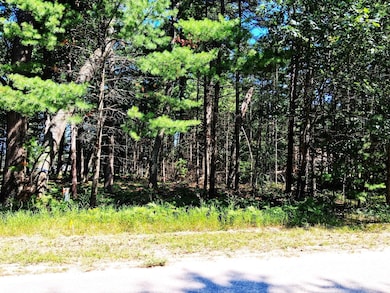 Lot 21 W Nestel Rd, Houghton Lake, MI 48651 - photo 3