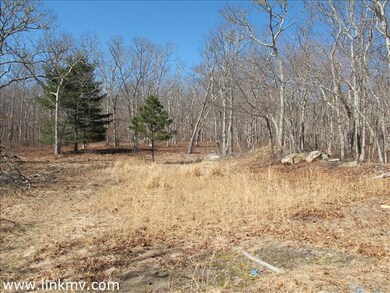 7 Ridge Hill Rd, Chilmark, MA 02535 - photo 5