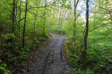 0 Twp Rd 629 & 3292 unit 227606, Loudonville, OH 44842 - photo 6