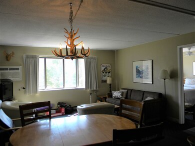 23 Black Bear Way unit 412, Waterville Valley, NH 03215 - photo 4