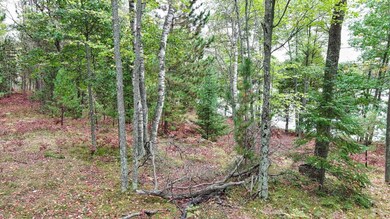 Lot A on Del Stengl Lake Rd, Stella, WI 54501 - photo 2
