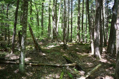 44 Black Bear Rd unit Lot 21 on the recor, Woodstock, NH 03262 - photo 7