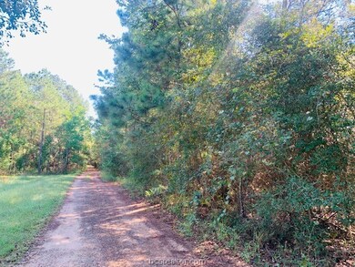 0 Sycamore Ln unit 21013469, Plantersville, TX 77363 - photo 6