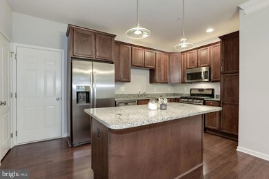 43017 Clarks Mill Terrace unit 805, Ashburn, VA 20148 - photo 6