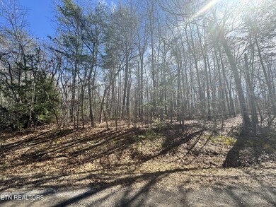 0 N Laurel Loop unit RTC2962883, Monterey, TN 38574 - photo 2