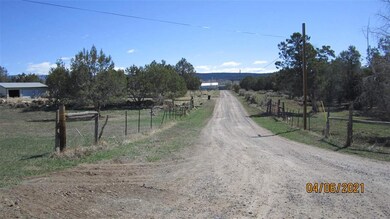 23019 Frost Rd, Cedaredge, CO 81413 - photo 4