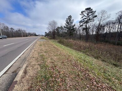 0 Columbia Hwy unit RTC3058032, Hohenwald, TN 38462 - photo 2