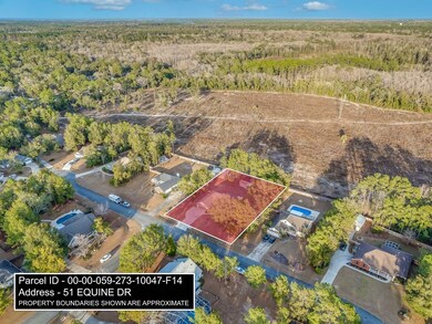 51 Equine Dr, Crawfordville, FL 32327 - photo 5