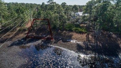 Peace Pond South View 1