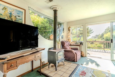 Wood Burning Stove