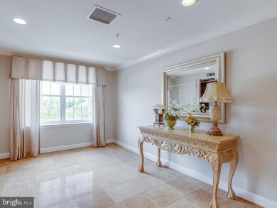 9500 Side Brook Rd unit 510, Owings Mills, MD 21117 - photo 5