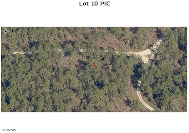 0 SW 131 Lot 10 Cir, Ocala, FL 34480 - photo 2