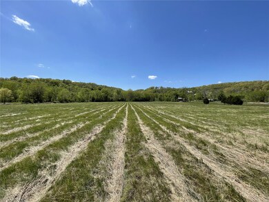 17906 Cliff Rd, Union Township, MO 65459 - photo 5