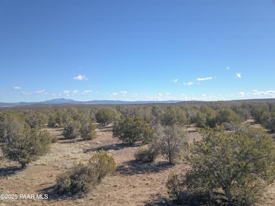 137 Cattle Dr, Ash Fork, AZ 86320 - photo 7