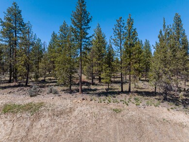 62947 Levins Ln, Bend, OR 97703 - photo 5