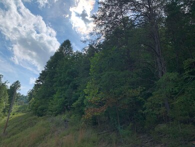 0 Cooksey Fork, Blaine, KY 41124 - photo 4