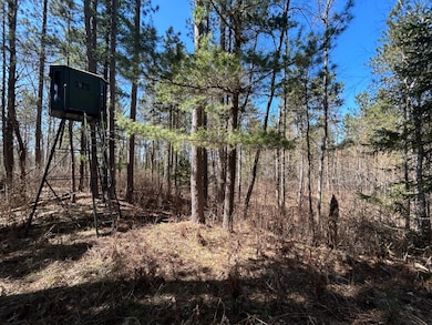 80AC off Razorback Rd, Conover, WI 54519 - photo 4