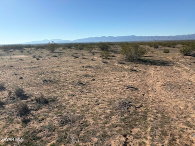 0 127th St unit 25008313, California City, CA 93505 - photo 4