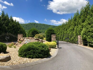 0 River Rapids Way unit 1102136, Del Rio, TN 37727 - photo 3