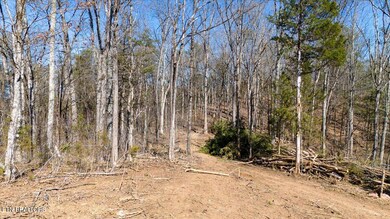 0 Wolfenbarger Tract 1 unit 1294792, Luttrell, TN 37779 - photo 6