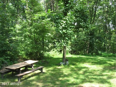 407 Blue Bell Ln, Strasburg, VA 22657 - photo 6