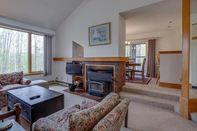 304 Woods Ln unit C3, Killington, VT 05751 - photo 3