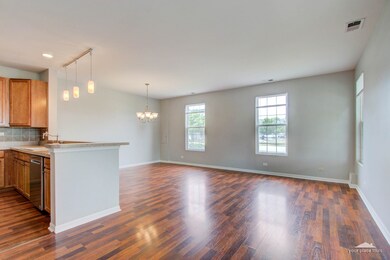 188 Springbrook Trail S, Oswego, IL 60543 - photo 7