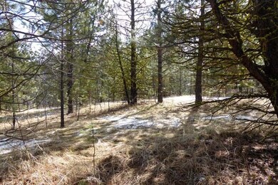 4 Blue Spruce Place unit 6, Cascade, ID 83611 - photo 4