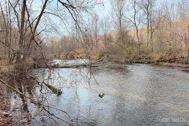 V/L Stoneybrook Trail, Hubbardston, MI 48845 - photo 5