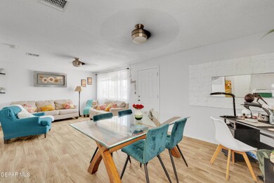 312 Kelvin Ave, El Paso, TX 79915 - photo 6