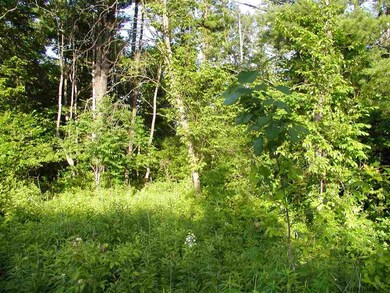 0 Leeds-Athens Rd unit 201612548, Athens, NY 12015 - photo 2