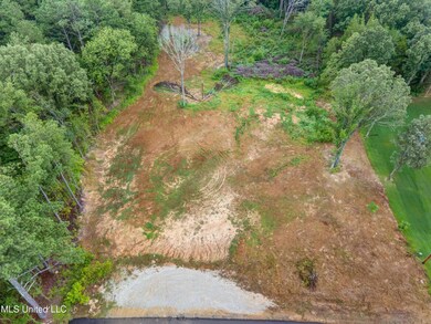 Aerial Overhead