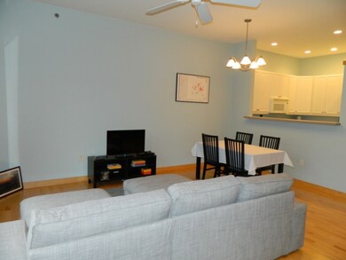 530 W Doty St unit 207, Madison, WI 53703 - photo 3
