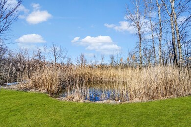 1822 Barthelone Ave, Crest Hill, IL 60403 - photo 5