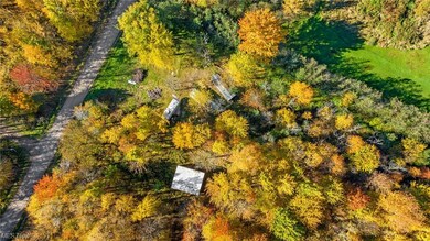 3589 Netcher Rd, Jefferson, OH 44047 - photo 2