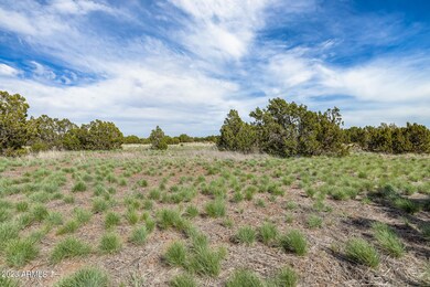 8770 Roundup Dr, Show Low, AZ 85901 - photo 6