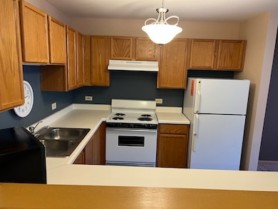 The Greens of Elgin unit 226, Elgin, IL 60123 - photo 4