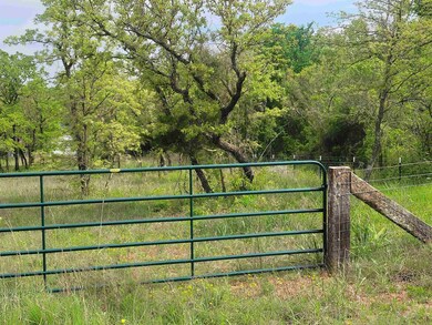 169625 Lakeview Dr, Marlow, OK 73055 - photo 2