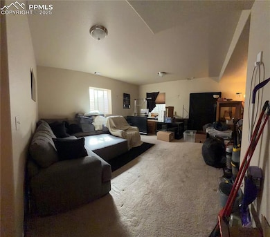 Living room featuring carpet flooring
