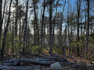 Lot#009-02 Powderhorn Rd, Jefferson, ME 04348 - photo 3