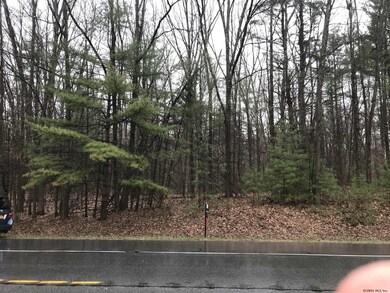 0 New York State Route 50, Saratoga Springs, NY 12866 - photo 3